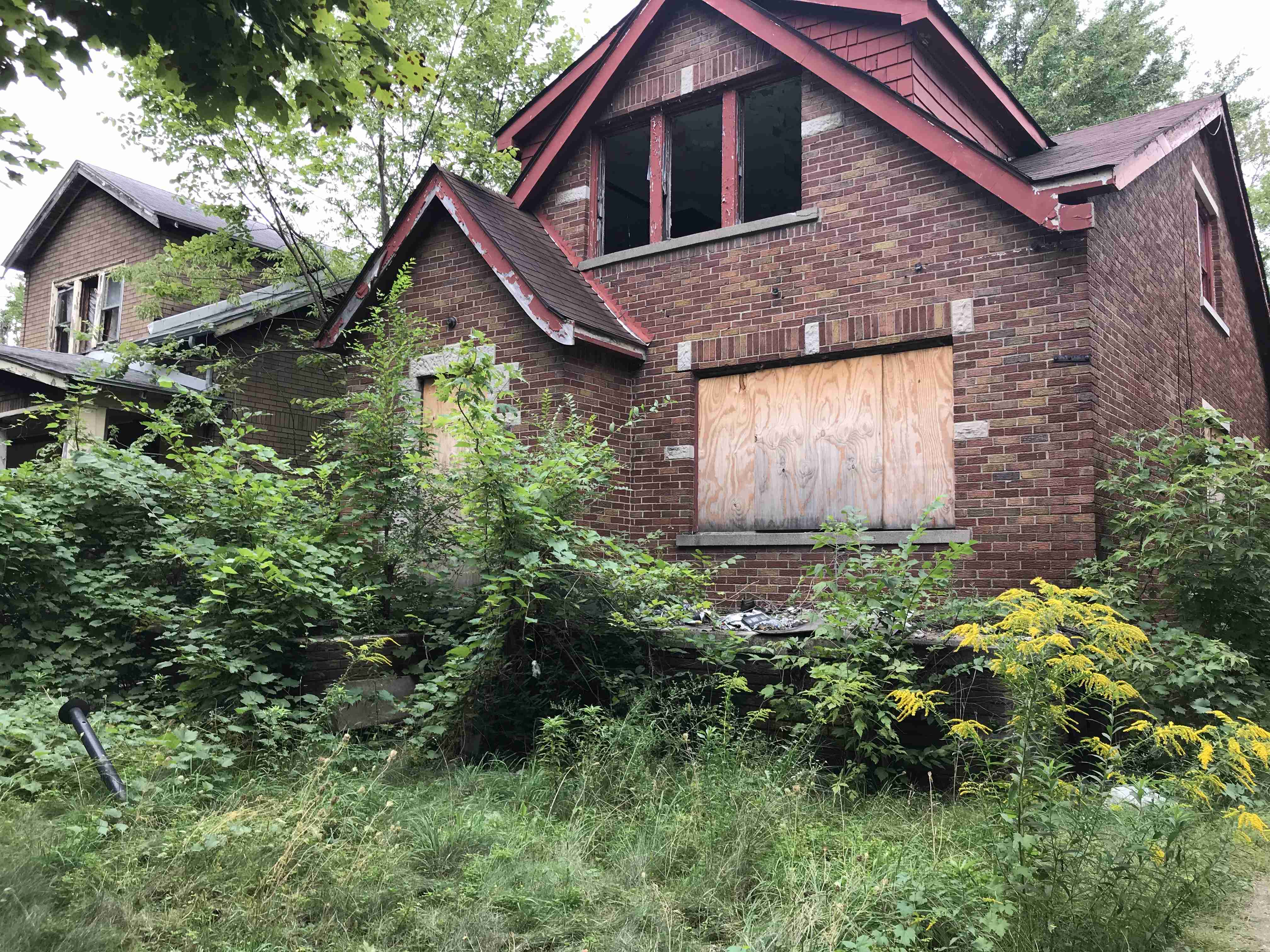 Photo Sep 10, 2 05 20 PM.jpg